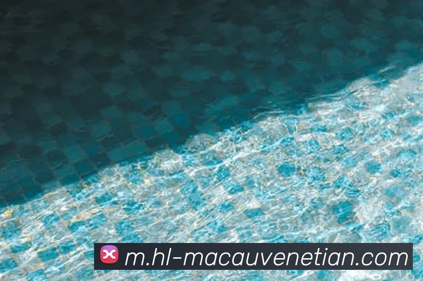 App Interface Preview