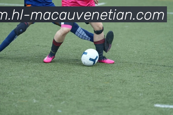 威尼斯人线上娱乐APP 封面图